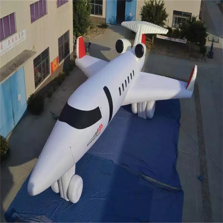 丽水充气模型飞机